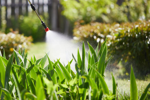 24/7 Emergency Mosquito Control experts in Evans, GA